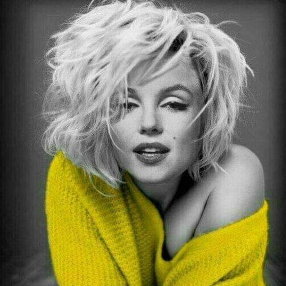 Meet your Posher, Tess - Picture 1 of 8